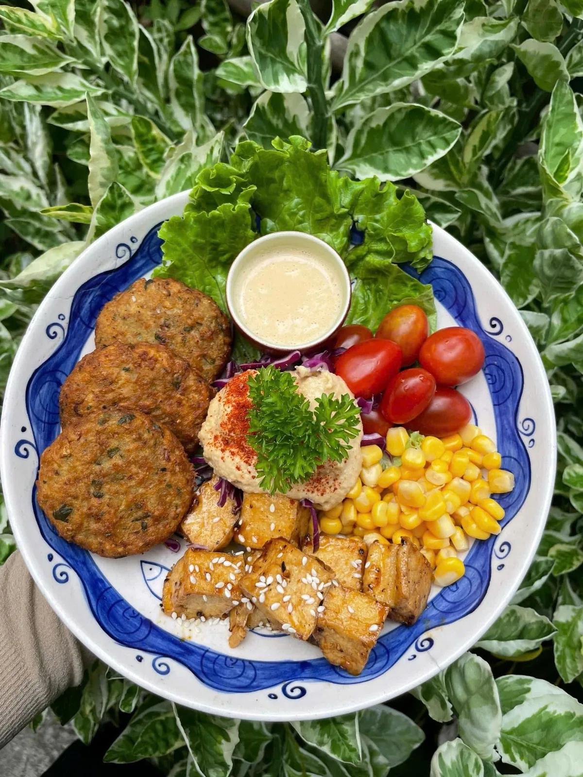 Falafel bowl